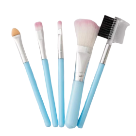 Soft Hair Portable Small 5 Piece Makeup Brush Set Blush Brush Eye Shadow Brush Full Set of Beauty Tools (Color: Blue)