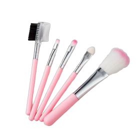 Soft Hair Portable Small 5 Piece Makeup Brush Set Blush Brush Eye Shadow Brush Full Set of Beauty Tools (Color: Pink)